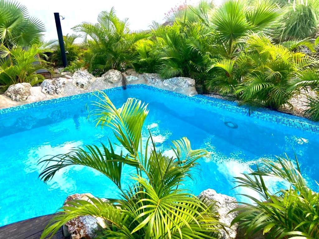 Neue Villa Tropic Paradise Виллемстад Экстерьер фото